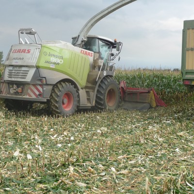 claas jaguar 980 20100521 1040935616