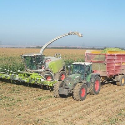claas jaguar 980 20100521 1243704138