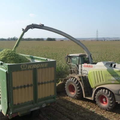 claas jaguar 980 20100521 1823245165