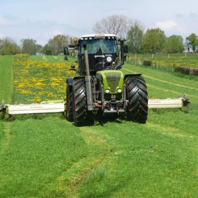 claas xerion 20100521 1018641551