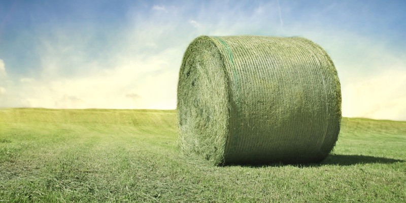 Einzelner Rundballen Heu liegt auf einem frisch gemähten Feld bei sonnigem Wetter